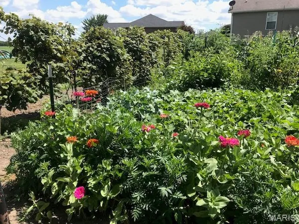 $419,000 | 10520 Vonder Haar Lane, Breese, IL 62230