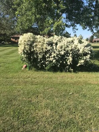 $419,000 | 10520 Vonder Haar Lane, Breese, IL 62230