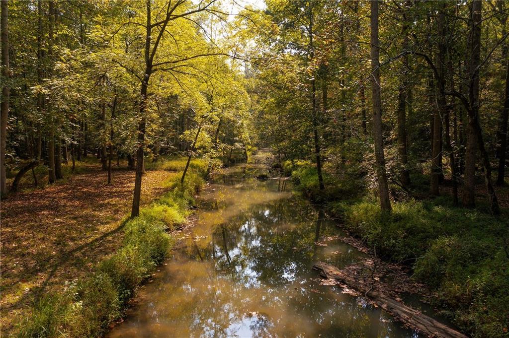 1211 Bellview Road Rockmart, GA 30153 - Photo 8 of 42 a view of yard