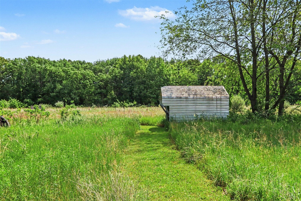 17650 Heimbach Road Three Rivers, MI 49093 - Photo 14 of 41