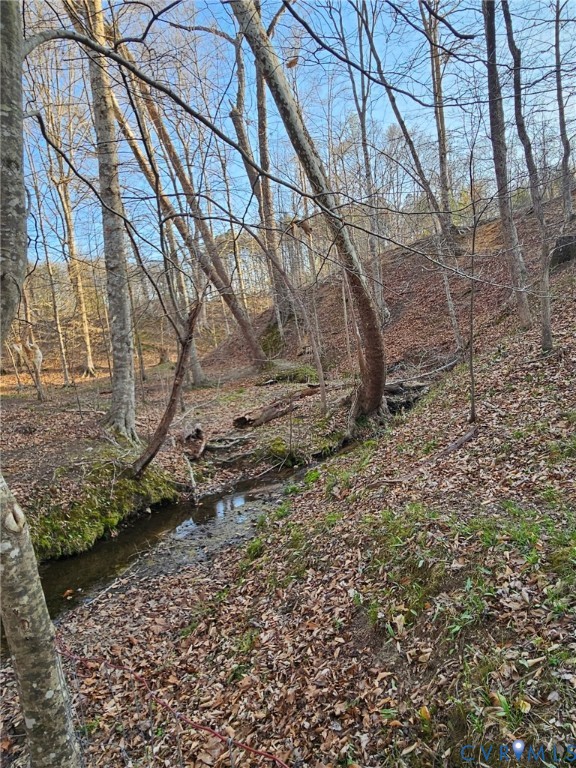 484 Dobbins Bridge Road Blackstone, VA 23824 - Photo 64 of 68