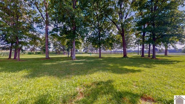 4214 Byars Road Hazel, KY 42049 - Photo 13 of 17 132783-6c215fe0-4eed-4c91-9529-006fa3c3d