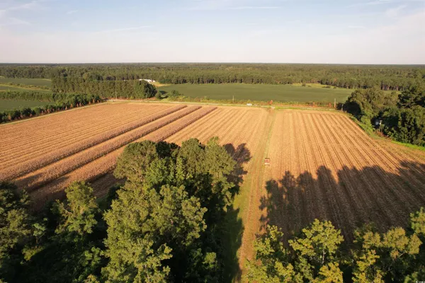 $345,000 | 61.77-acres-tbd Marion Church Road, Salters, SC 29590