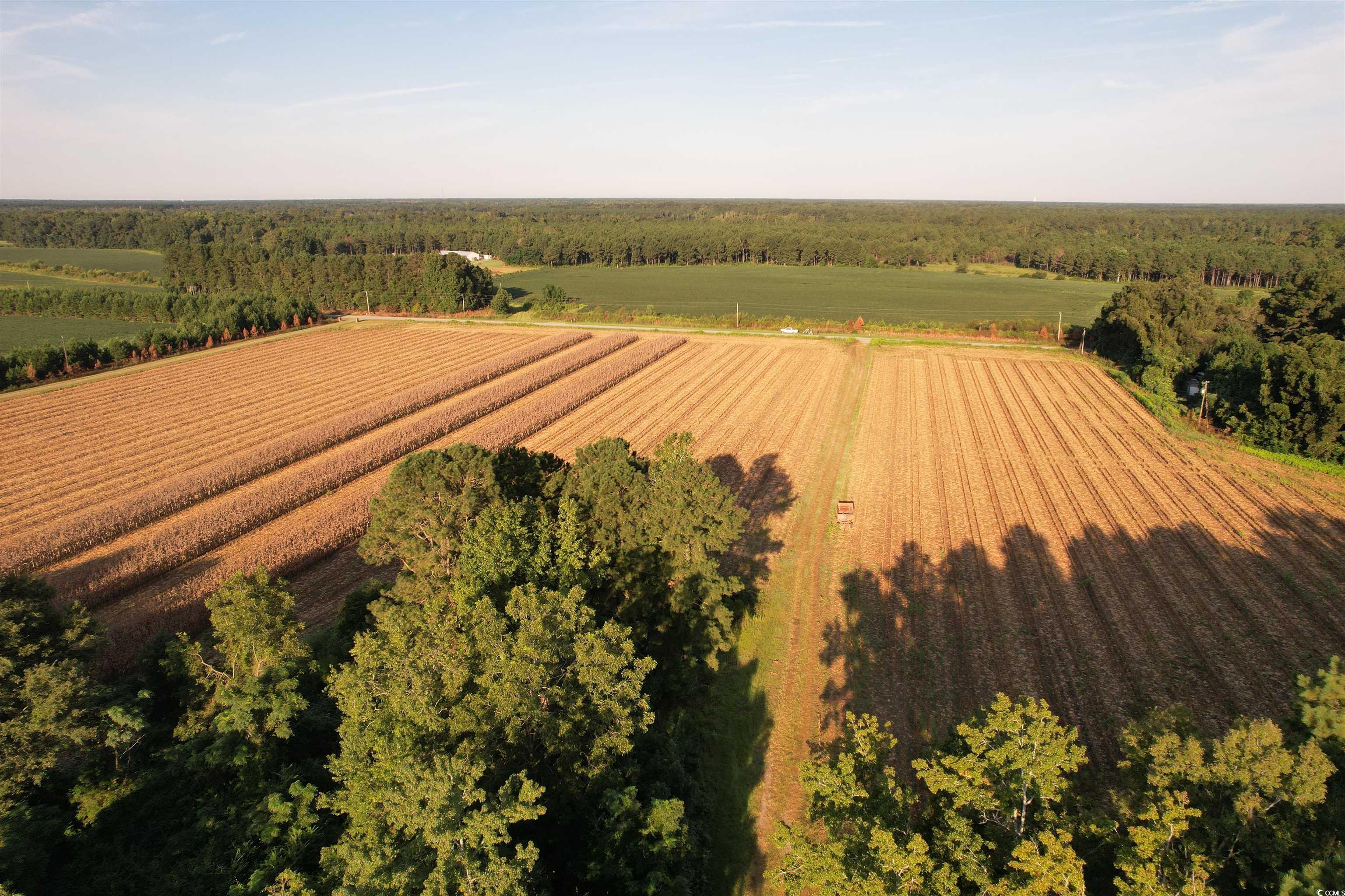 61.77-acres-tbd Marion Church Road Salters, SC 29590 - Photo 1 of 16