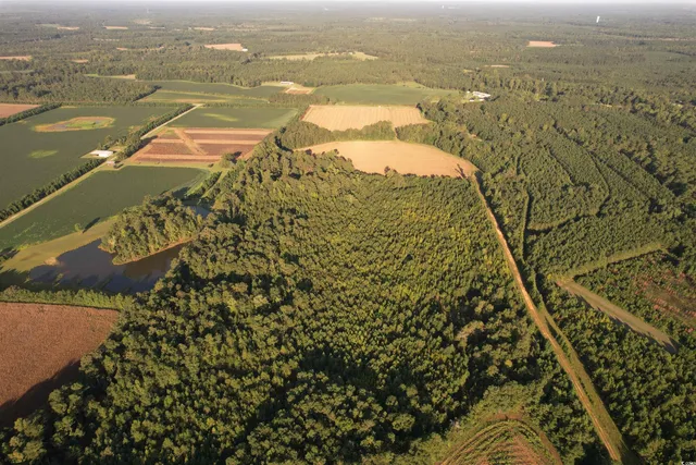 $370,620 | 61.77-acres-tbd Marion Church Road, Salters, SC 29590