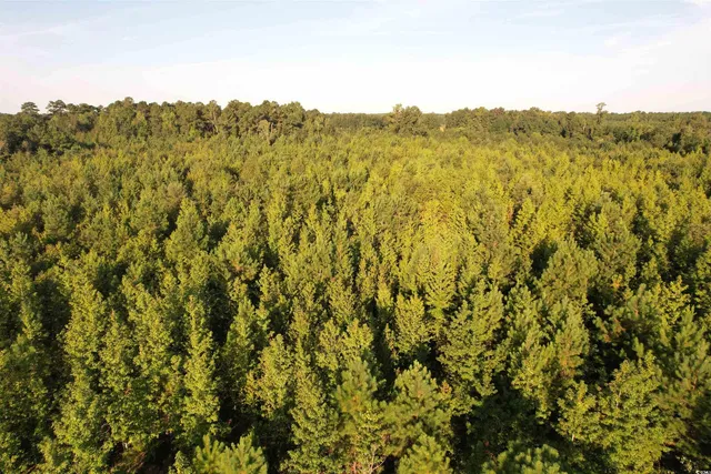 $370,620 | 61.77-acres-tbd Marion Church Road, Salters, SC 29590