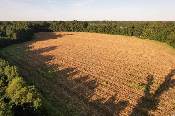 $345,000 | 61.77-acres-tbd Marion Church Road, Salters, SC 29590