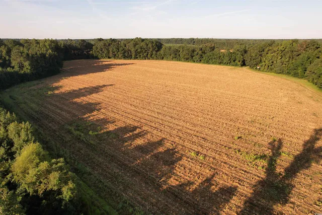 $370,620 | 61.77-acres-tbd Marion Church Road, Salters, SC 29590