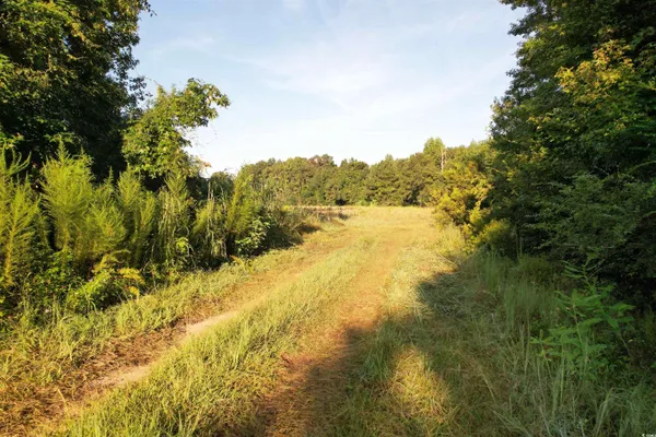 $345,000 | 61.77-acres-tbd Marion Church Road, Salters, SC 29590