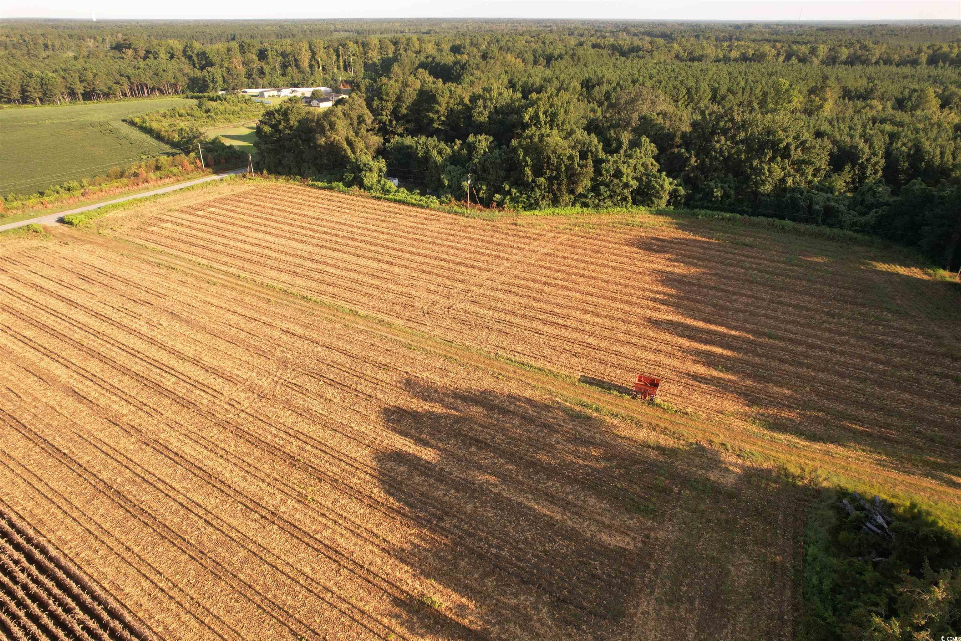 61.77-acres-tbd Marion Church Road Salters, SC 29590 - Photo 5 of 16