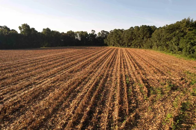$370,620 | 61.77-acres-tbd Marion Church Road, Salters, SC 29590