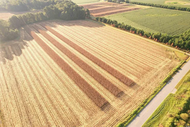 $370,620 | 61.77-acres-tbd Marion Church Road, Salters, SC 29590