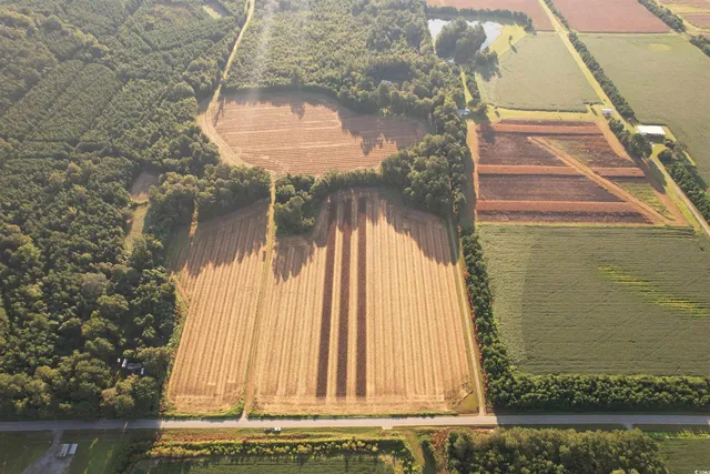 $370,620 | 61.77-acres-tbd Marion Church Road, Salters, SC 29590