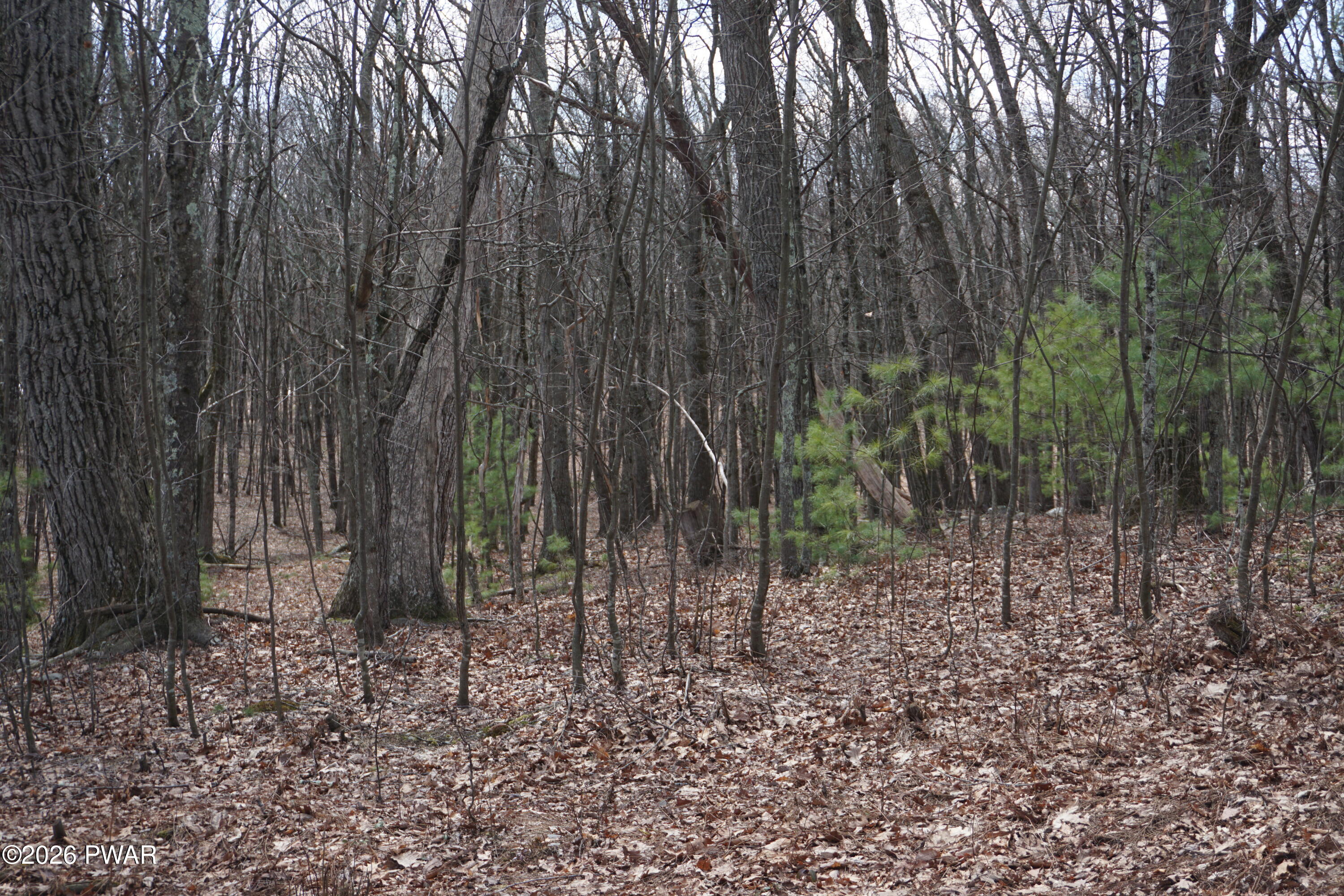 Lot #4 Roosie Road Dingmans Ferry, PA 18328 - Photo 3 of 5