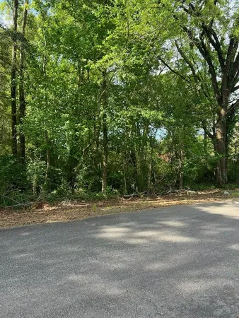 a backyard of a house with a trees