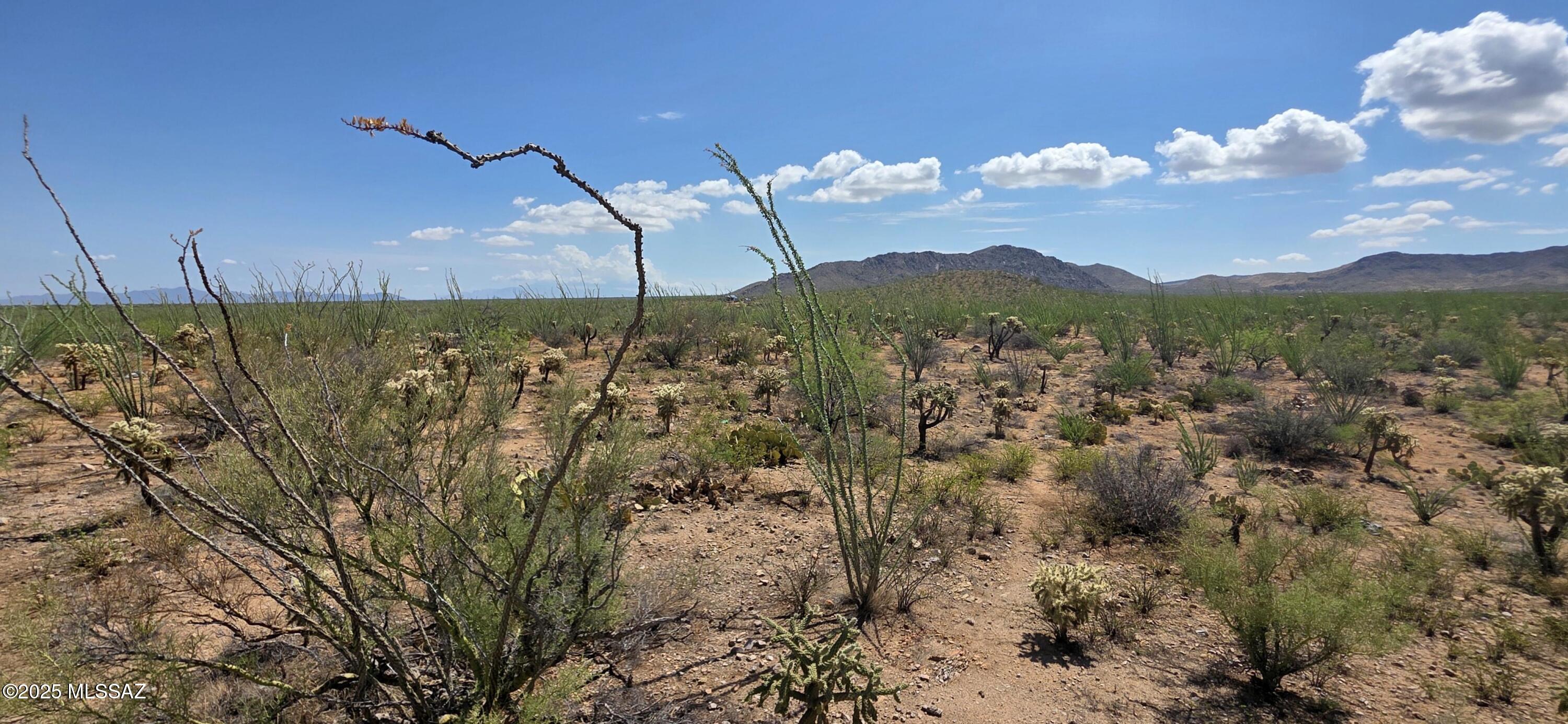 Tbd South Garvey Road Tucson, AZ 85736 - Photo 5 of 13