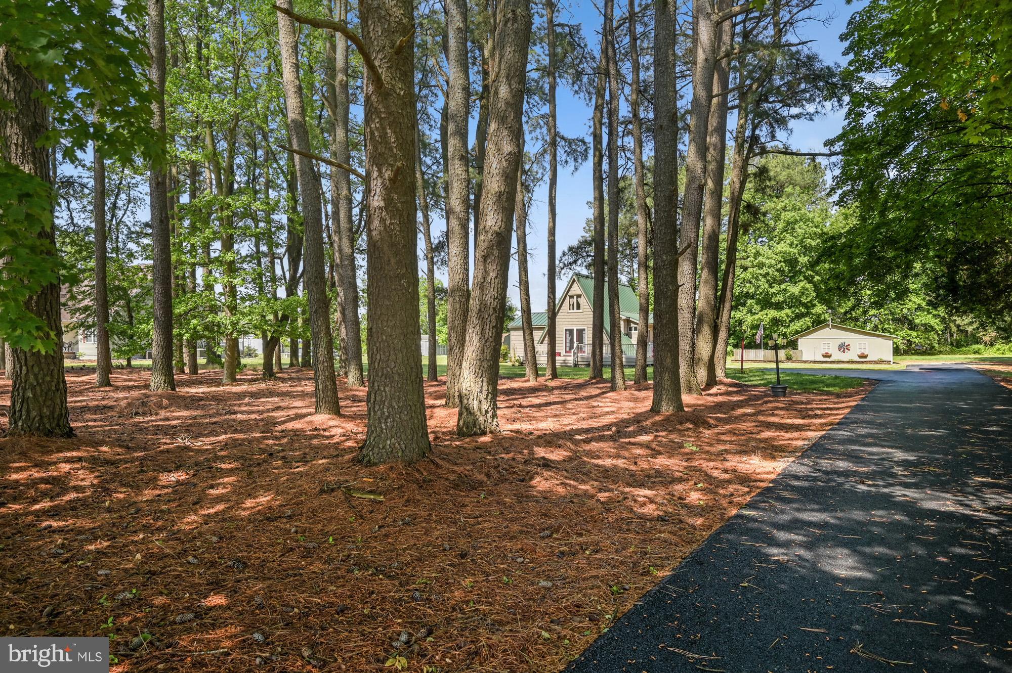 151 Peach Basket Road Felton, DE 19943 - Photo 1 of 29 Exterior Front, Privacy... Gotta Love the View!!