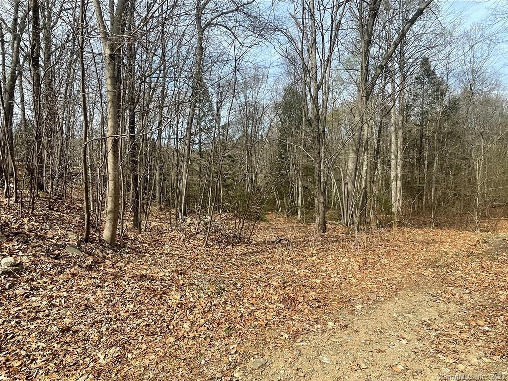 0 Old Mill Road Wilton, CT 06897 - Photo 11 of 14 a view of a backyard of the house