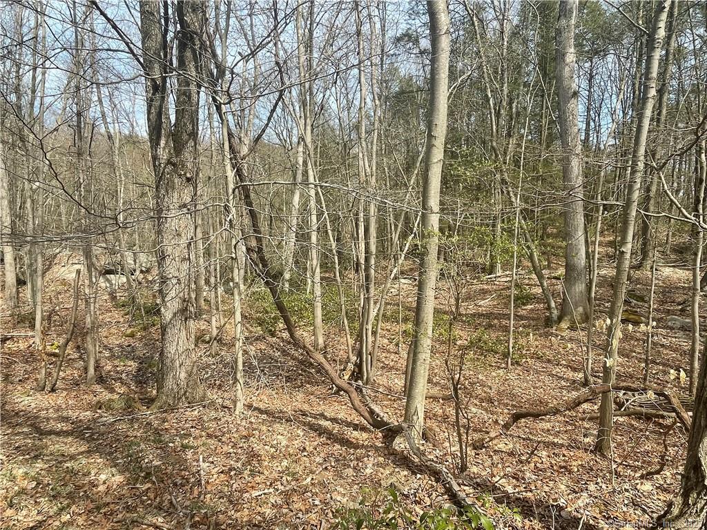 0 Old Mill Road Wilton, CT 06897 - Photo 13 of 14