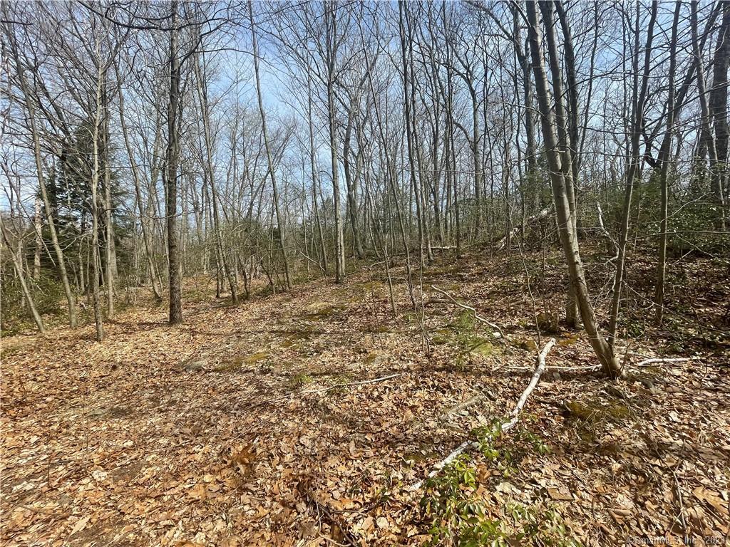 0 Old Mill Road Wilton, CT 06897 - Photo 2 of 14 a backyard of a house with lots of green space