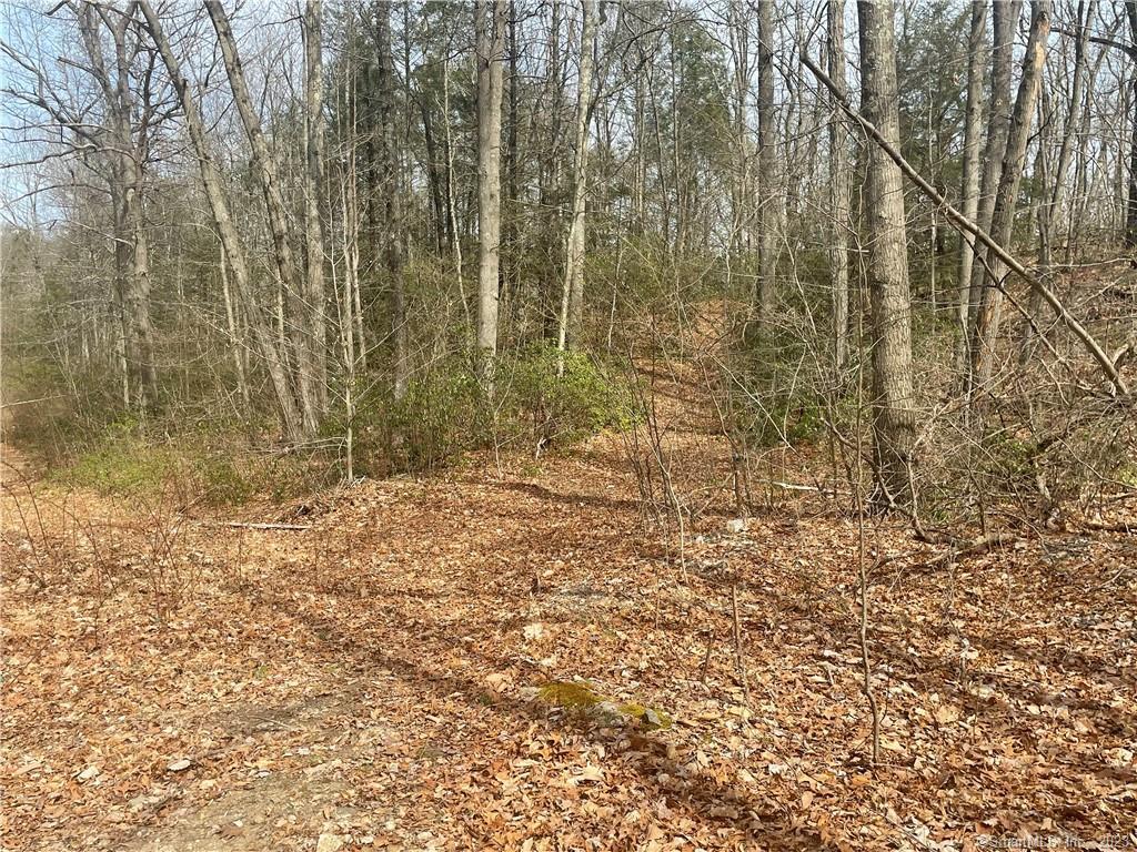 0 Old Mill Road Wilton, CT 06897 - Photo 5 of 14 a bathroom with a shower