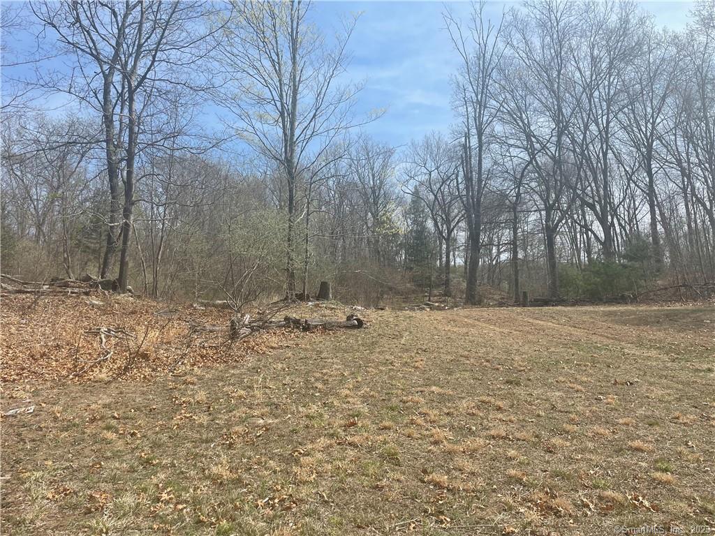 0 Old Mill Road Wilton, CT 06897 - Photo 5 of 14 a backyard of a house