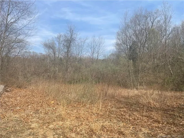 a small garden covered with trees