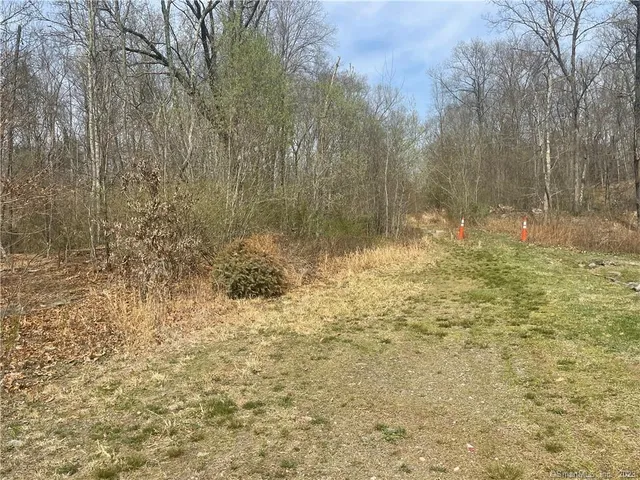 a view of a backyard of the house