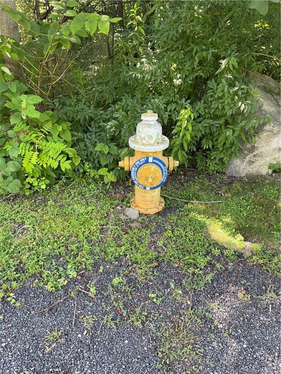 0 Old Mill Road Wilton, CT 06897 - Photo 9 of 14 a small garden covered with trees