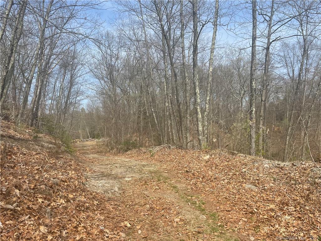 0 Old Mill Road Wilton, CT 06897 - Photo 10 of 14 a view of yard