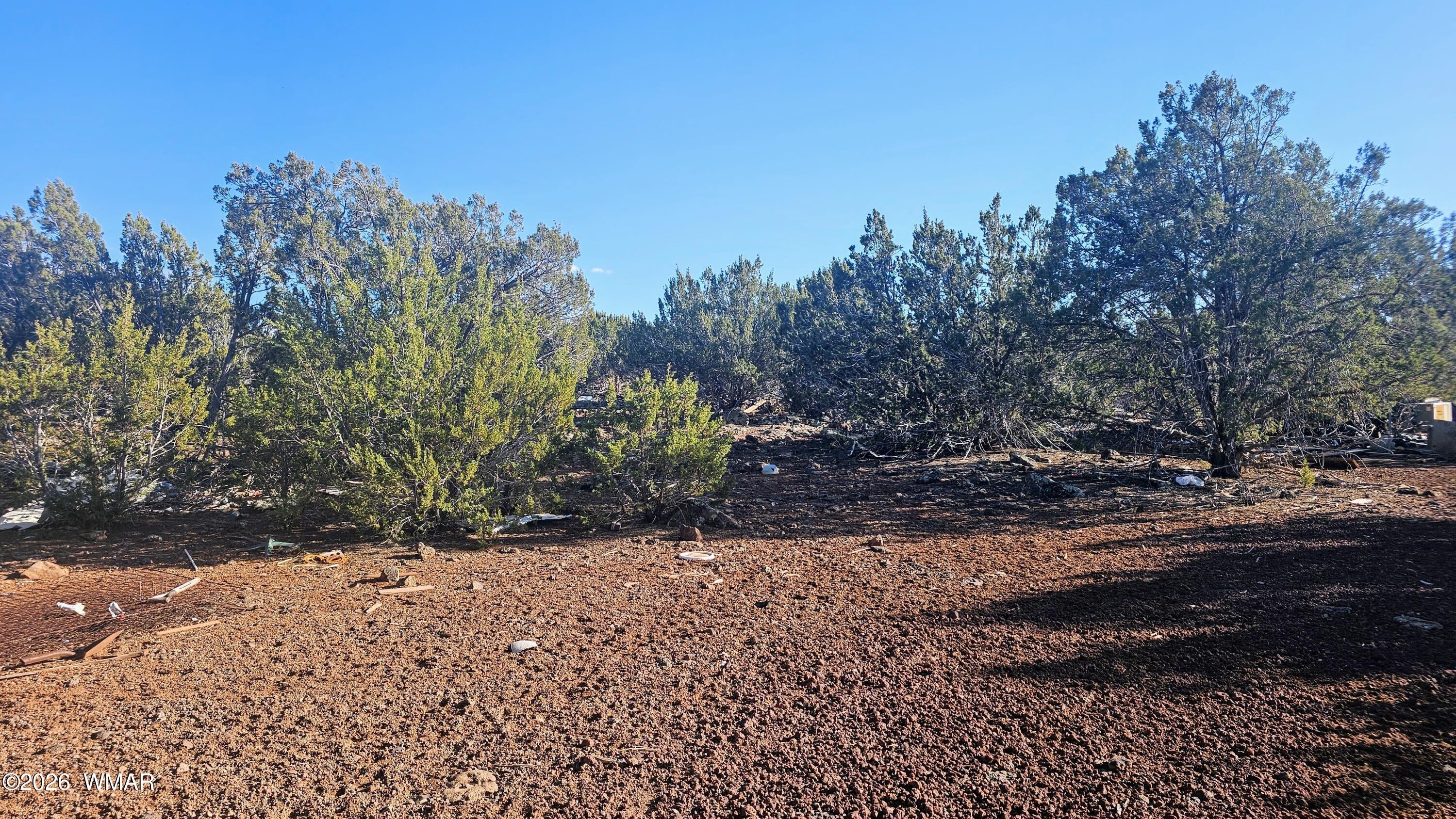9383 Bald Eagle Road Show Low, AZ 85901 - Photo 29 of 29 Gallery Image 29