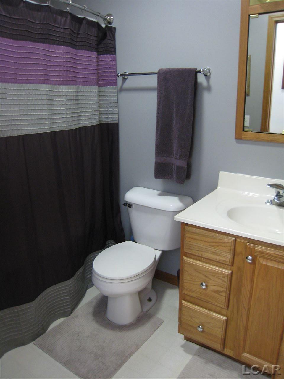 8900 Shepherd Road Onsted, MI 49265 - Photo 12 of 34 Guest bath