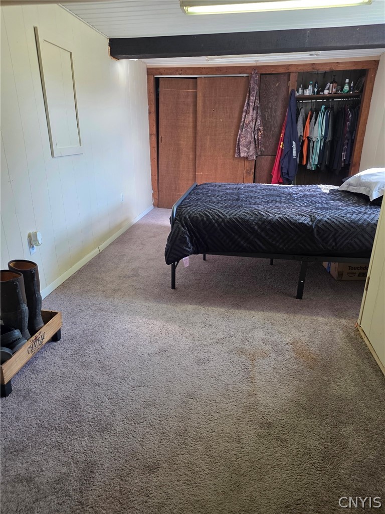 3312 Clute Road Blodgett Mills, NY 13738 - Photo 10 of 31 Bedroom in basement