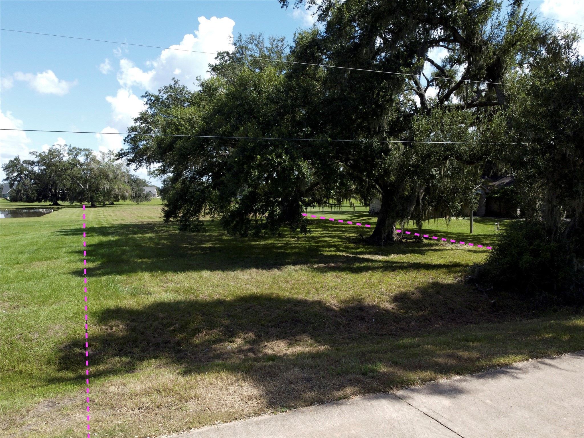 158 Cattle Drive Trail Angleton, TX 77515 - Photo 17 of 18 a view of a park