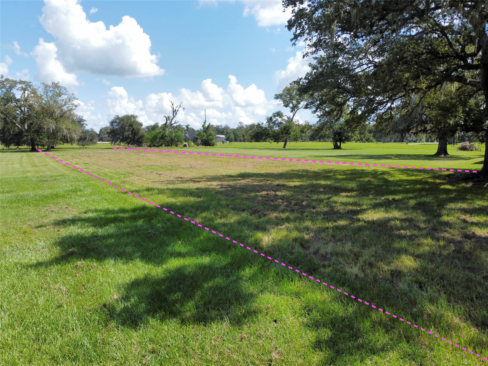 158 Cattle Drive Trail Angleton, TX 77515 - Photo 6 of 18 a view of a golf course with a lake