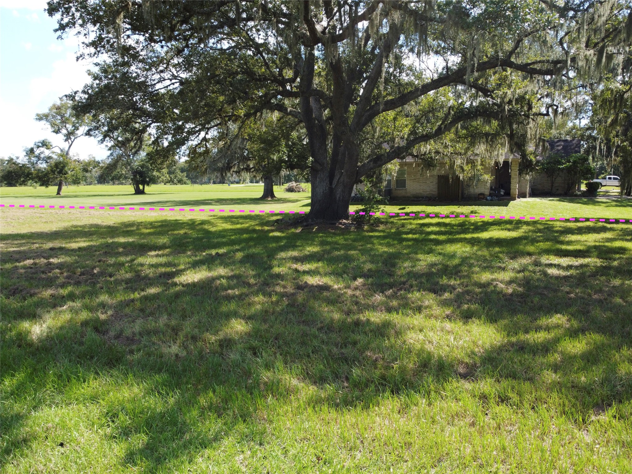 158 Cattle Drive Trail Angleton, TX 77515 - Photo 7 of 18 a view of outdoor space with deck and trees