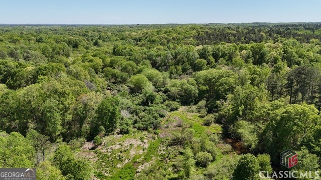 0 Moore Road Elberton, GA 30635 - Photo 15 of 67