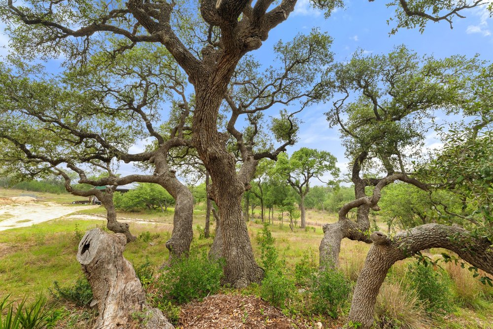 1850 Pursley Road Dripping Springs, TX 78620 - Photo 24 of 32