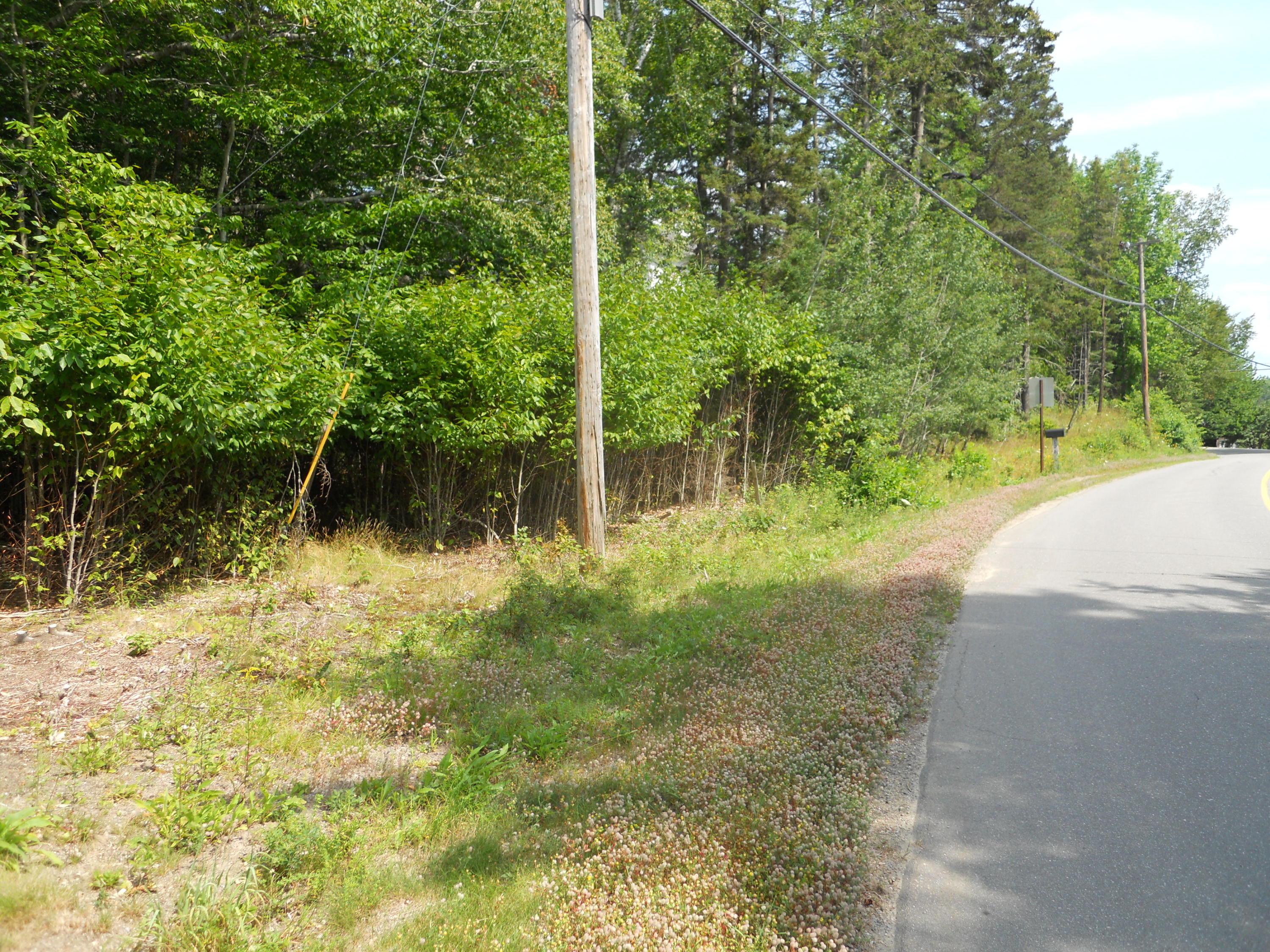 106 West Bay Road Islesboro, ME 04848 - Photo 29 of 61 LotAcrossRoad9825