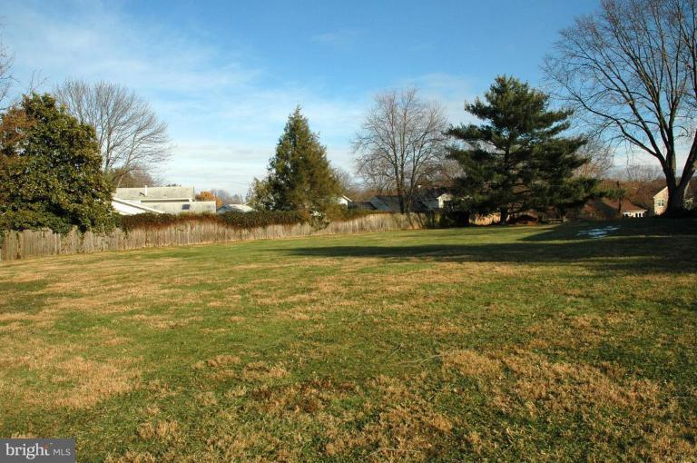8900 Old Courthouse Road Vienna, VA 22182 - Photo 6 of 14 Back yard
