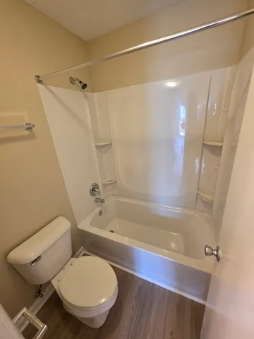 a bathroom with a toilet and a bathtub