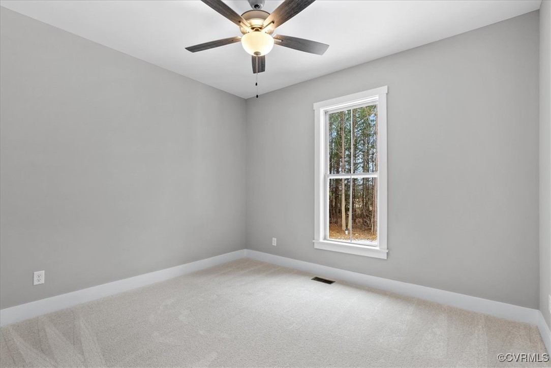 292 Lunenburg County Road Keysville, VA 23947 - Photo 31 of 39 Unfurnished room featuring carpet floors and ceili