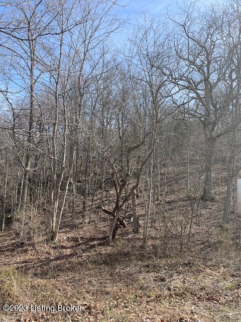 0 East Prong Locust Road Milton, KY 40045 - Photo 3 of 7 image001