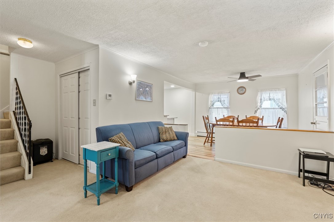 183 Van Anden Street Auburn, NY 13021 - Photo 13 of 40 Living Room
