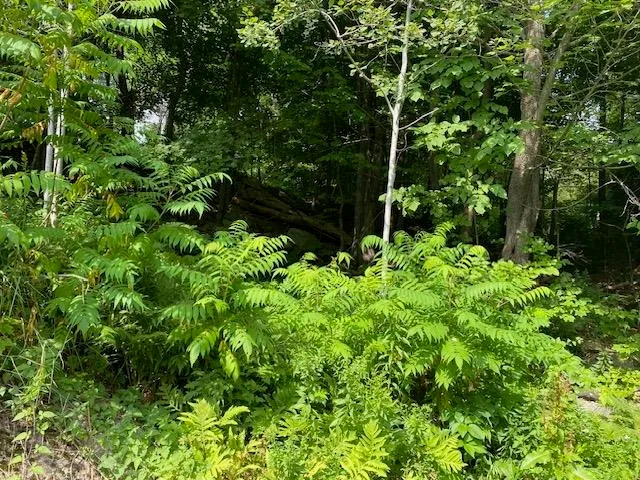 $189,500 | 448 Church Street, Berlin, NH 03570