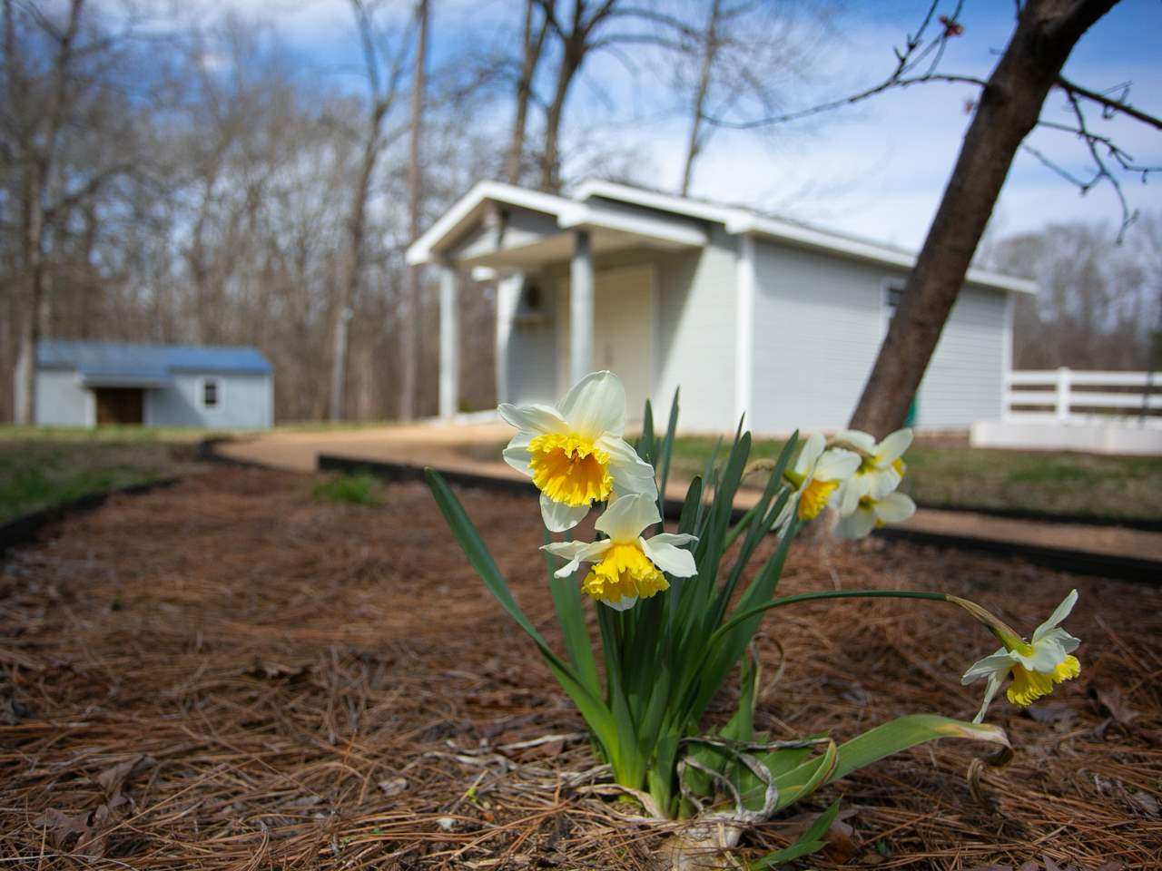 5217 Stanley Road Durham, NC 27704 - Photo 29 of 30 Photo 29