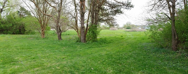 10543 East Flagg Road Rochelle, IL 61068 - Photo 17 of 17 a view of outdoor space and yard