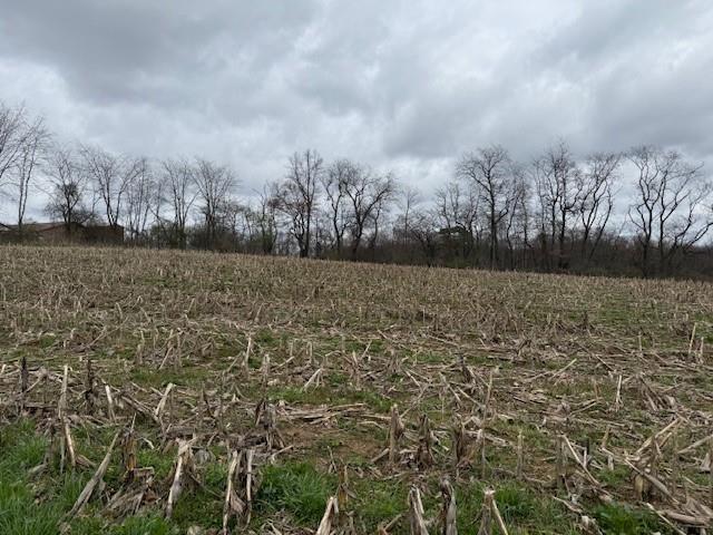 Lot 2 Jones Road Cabot, PA 16023 - Photo 4 of 10