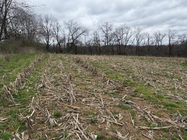 Lot 2 Jones Road Cabot, PA 16023 - Photo 8 of 10