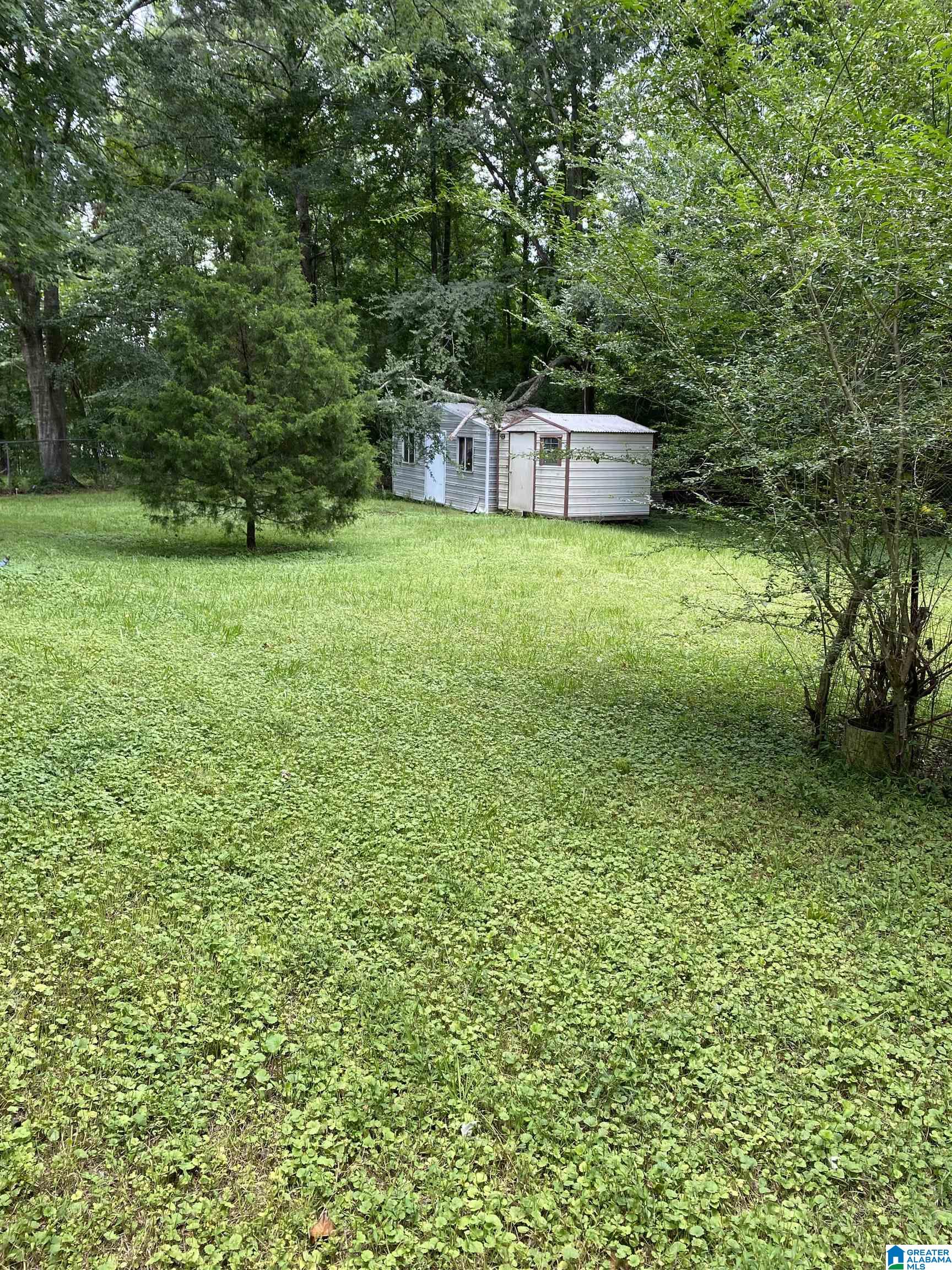 174 Bettis Circle Springville, AL 35146 - Photo 3 of 17